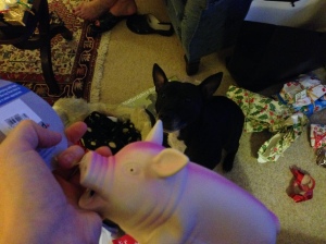the offending xmas piglet